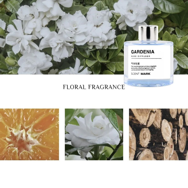 Luxury 50ML Reed Diffuser Set with Essential Oils – Lavender, Rose, Jasmine Fragrances, Aromatherapy Air Freshener for Hotel and Home, Long-Lasting Scent, Elegant Glass Bottle - StrengthXPhysiotherapy