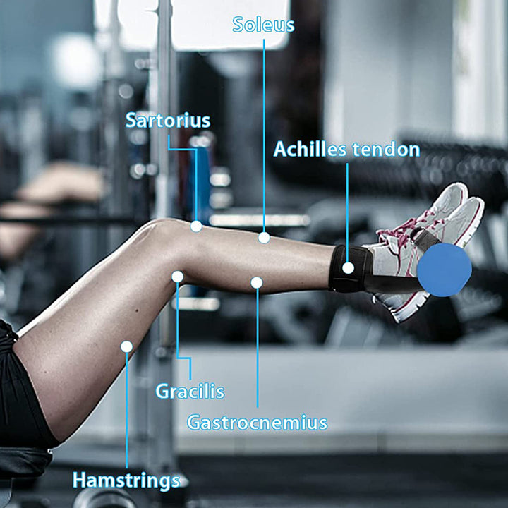 Premium Adjustable Dumbbell Ankle Strap – Soft, Comfortable Weight Strap for Leg and Hip Workouts, Portable Ankle Weights  