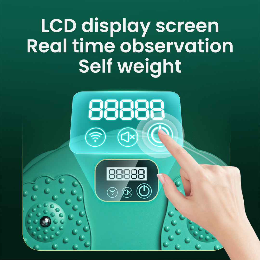 Premium Twist Waist Disc Balance Board – Fitness Equipment for Women, Magnetic Massage Function, Slimming, Belly & Thigh